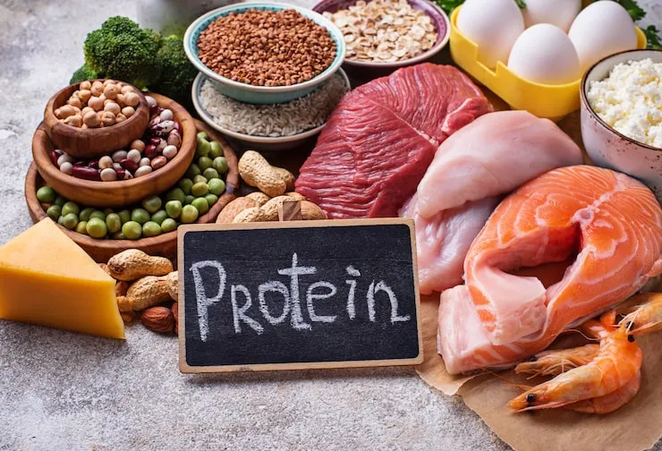 High Protein Meals to Burn Fat and Build Lean Muscle High Protein Meals to Burn Fat and Build Lean Muscle